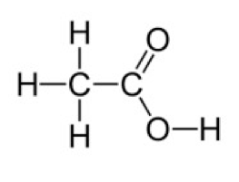 酢酸　構造式