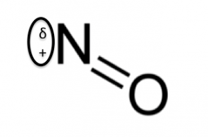 亜硝酸　陽イオン