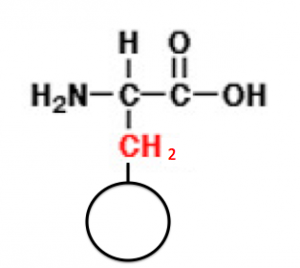 アミノ酸　基本　アラニン