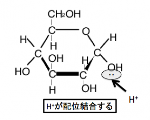 グリコシド結合　配位結合