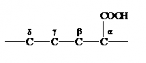 α-アミノ酸,とは