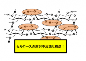 セルロース,構造