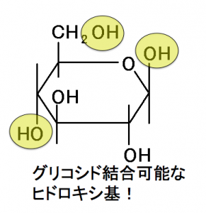 グリコシド結合,ヒドロキシ基