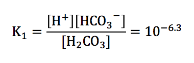 炭酸の電離定数