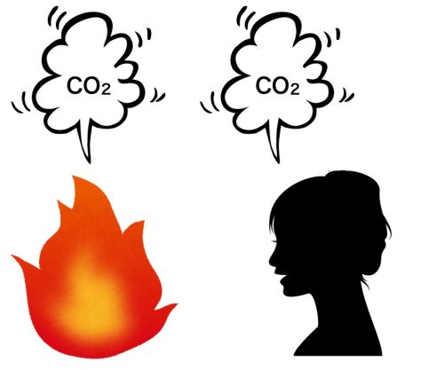 燃焼の二酸化炭素と呼吸の二酸化炭素は同じ（定比例の法則）