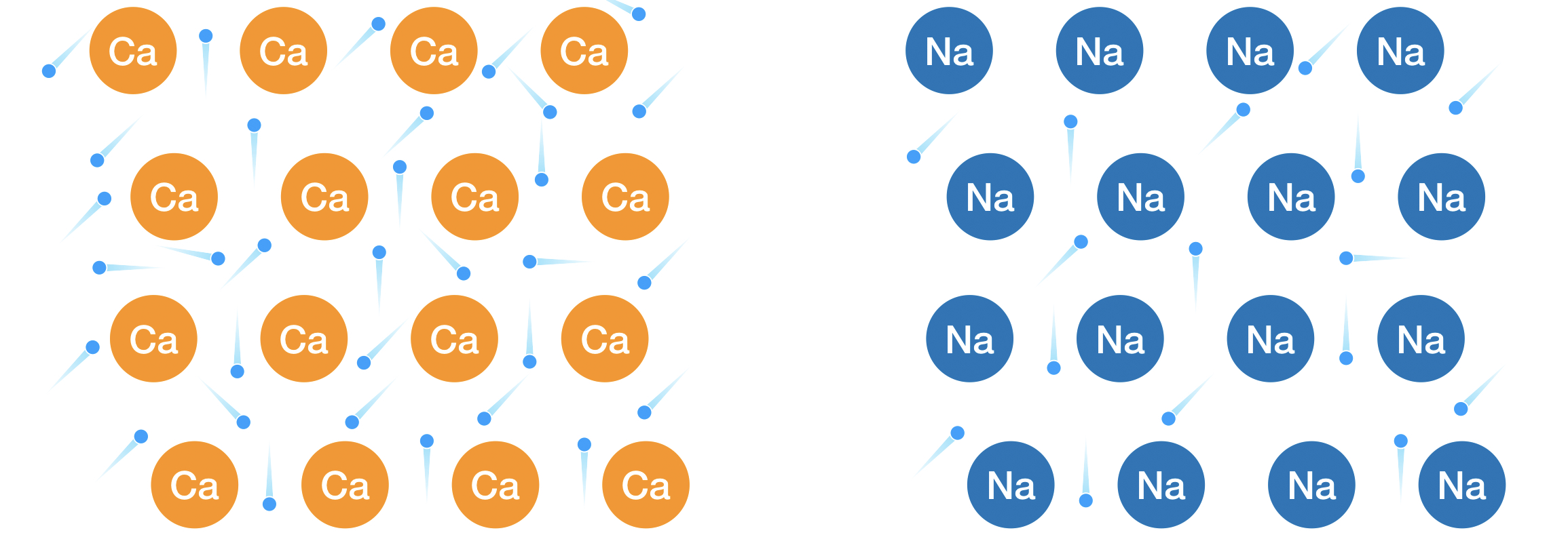 ナトリウム　カルシウム　比較